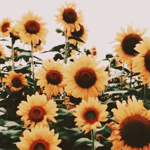 Meet your Posher, Addie